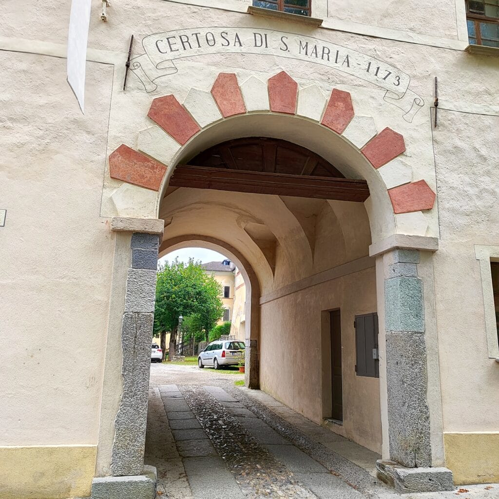 IMG 20250824 103157