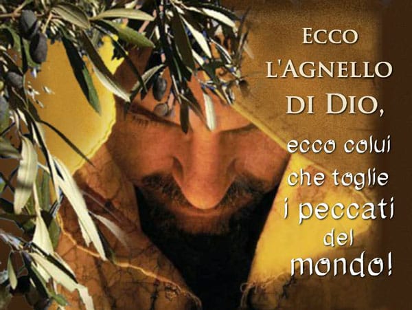 Colui che toglie i peccati dal mondo