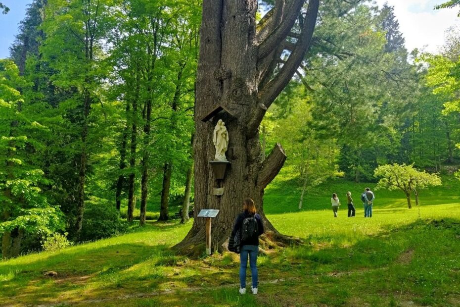 Certosa 09mag2026