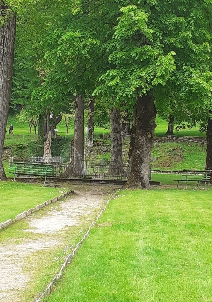 photo 14 2026 06 12 11 33 37