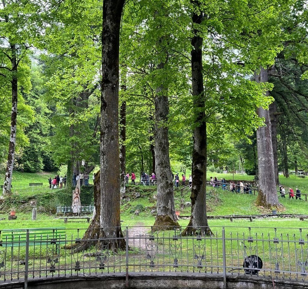 photo 16 2026 06 12 11 33 37